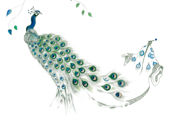 Tavola matita ed acquerellolo per il Contest Illustratori dell'Associazione Tapirulan 2020